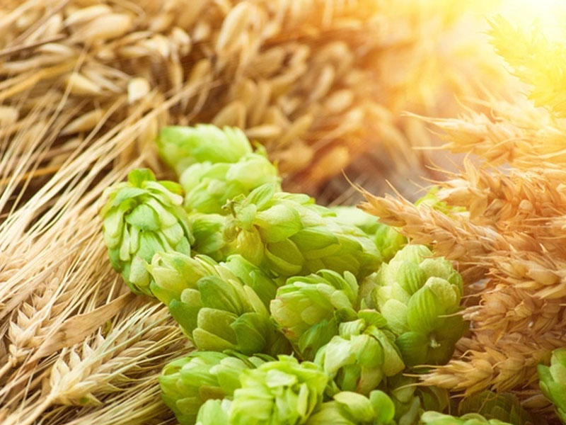 bia đức viiking strong 10%