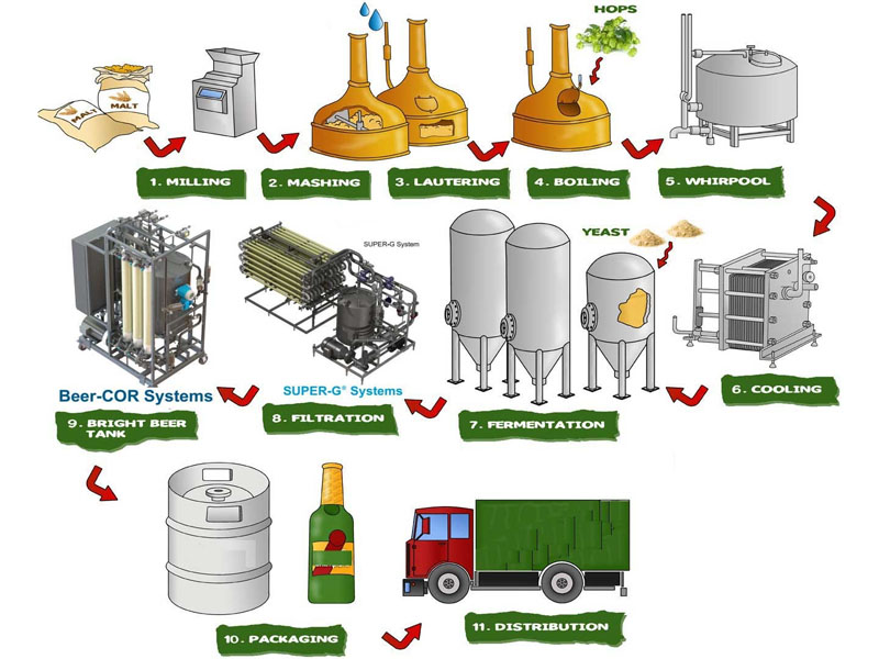 bia gấu bear beer ipa 5,6% đức