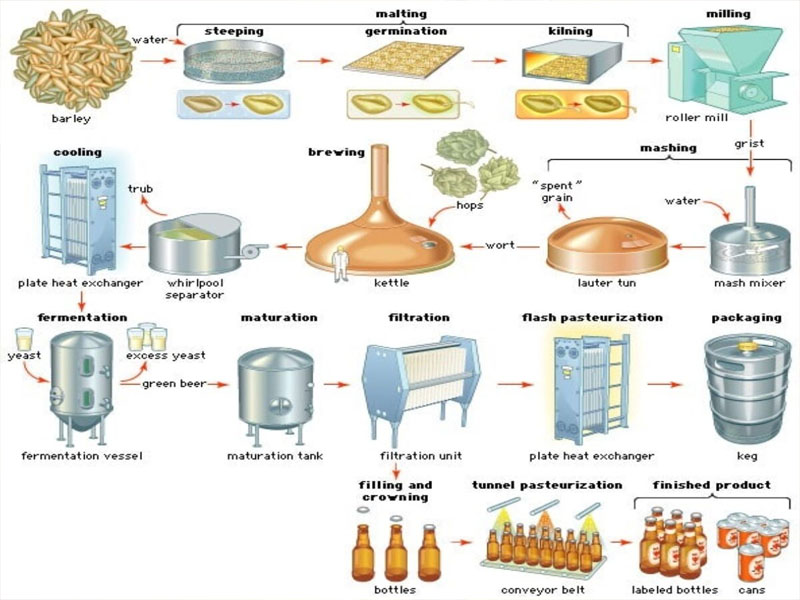 bia gấu chai bear beer ipa 5% đức