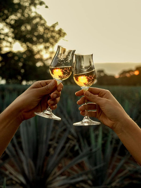 Rượu Tequila Clase Azul Reposado