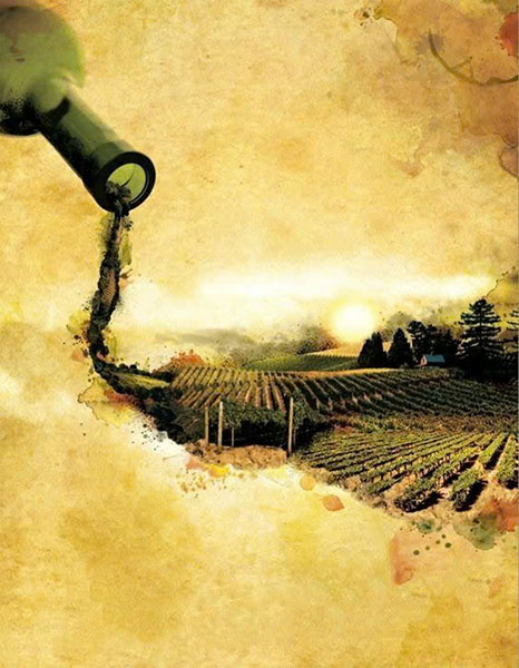 Nguồn gốc và lịch sử của Rượu vang Pháp Mayardau