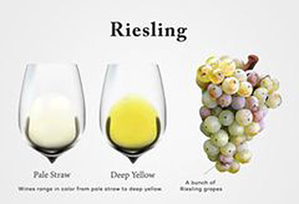 bí quyết thưởng thức riesling tinh tế nhất
