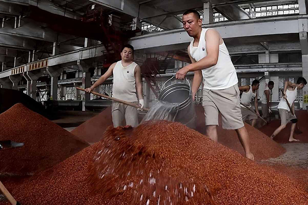 các loại rượu mao đài phổ biến và cách phân biệt