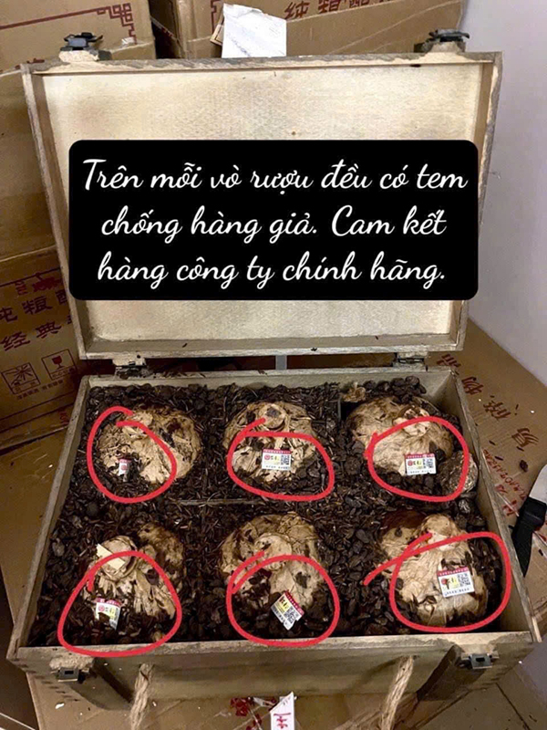 các loại rượu mao đài phổ biến và cách phân biệt