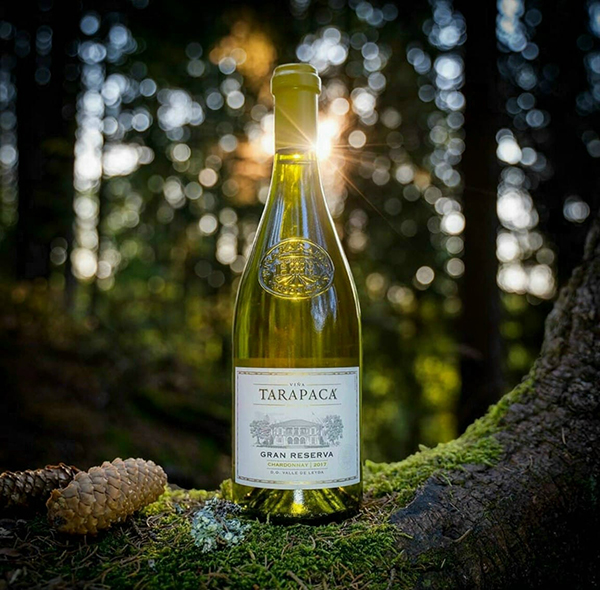 lịch sử 150 năm tarapaca gran reserva: di sản vang chile