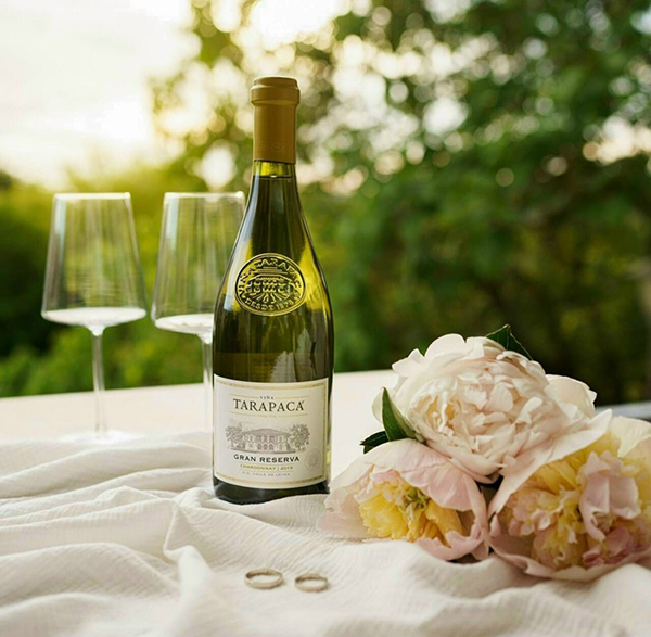 tarapaca phiên bản giới hạn: tuyệt tác vang chile