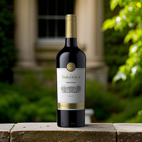 tuyệt phẩm rượu vang tarapaca gran reserva 150 năm