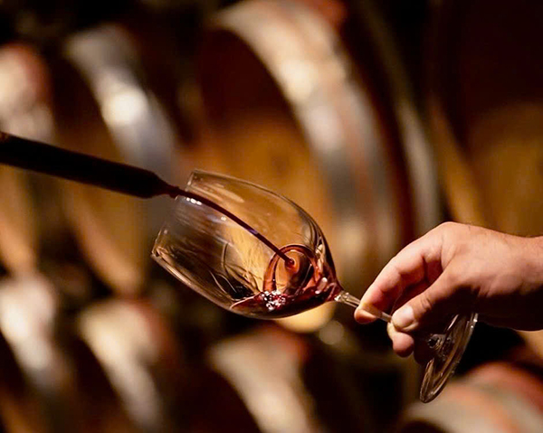 bí quyết bảo quản rượu vang 8 databile negroamaro lâu