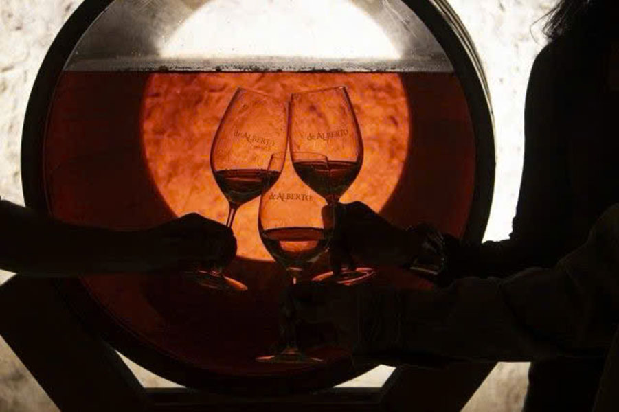 bí quyết bảo quản rượu vang carmen gran reserva syrah