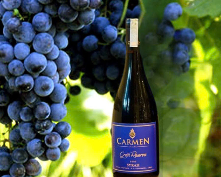 casillero del diablo reserva especial cabernet sauvignon casillero del diablo reserva especial cabernet sauvignon