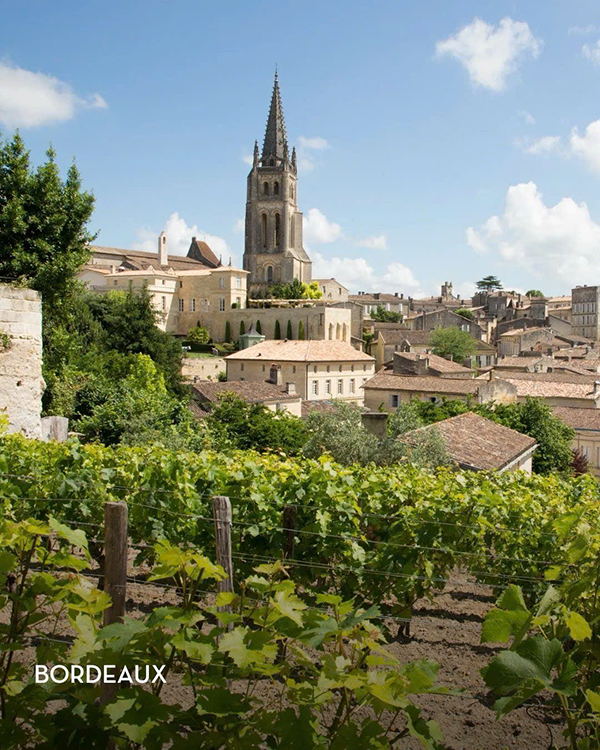 lịch sử hấp dẫn của rượu vang pháp giá cả phải chăng lịch sử hấp dẫn của rượu vang pháp giá cả phải chăng