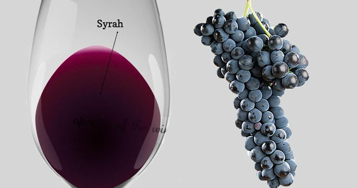 syrah chile: tại sao carmen gran reserva là số 1?