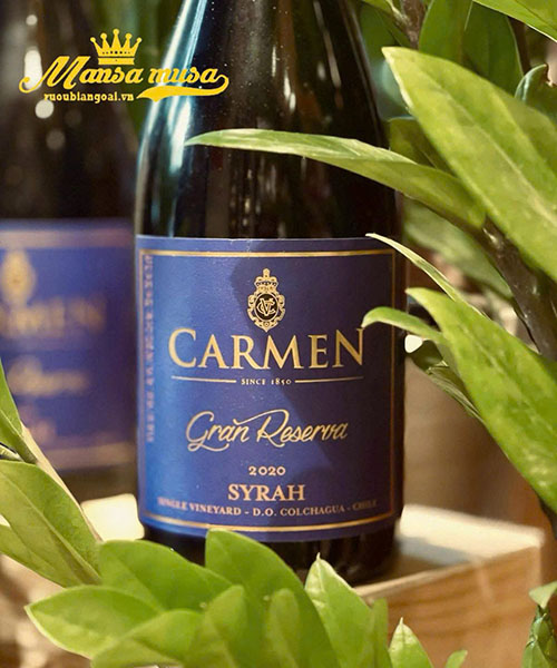 syrah chile: tại sao carmen gran reserva là số 1?