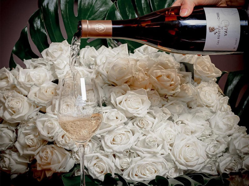 rượu vang pháp les roses blanches chateau valmy