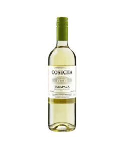 Tarapaca cosecha sauvignon blanc